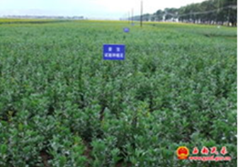 ���(zh��n)���؏�(f��)������