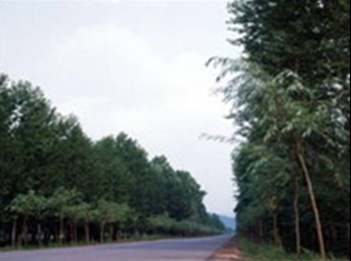 ���϶�ͨ���G������