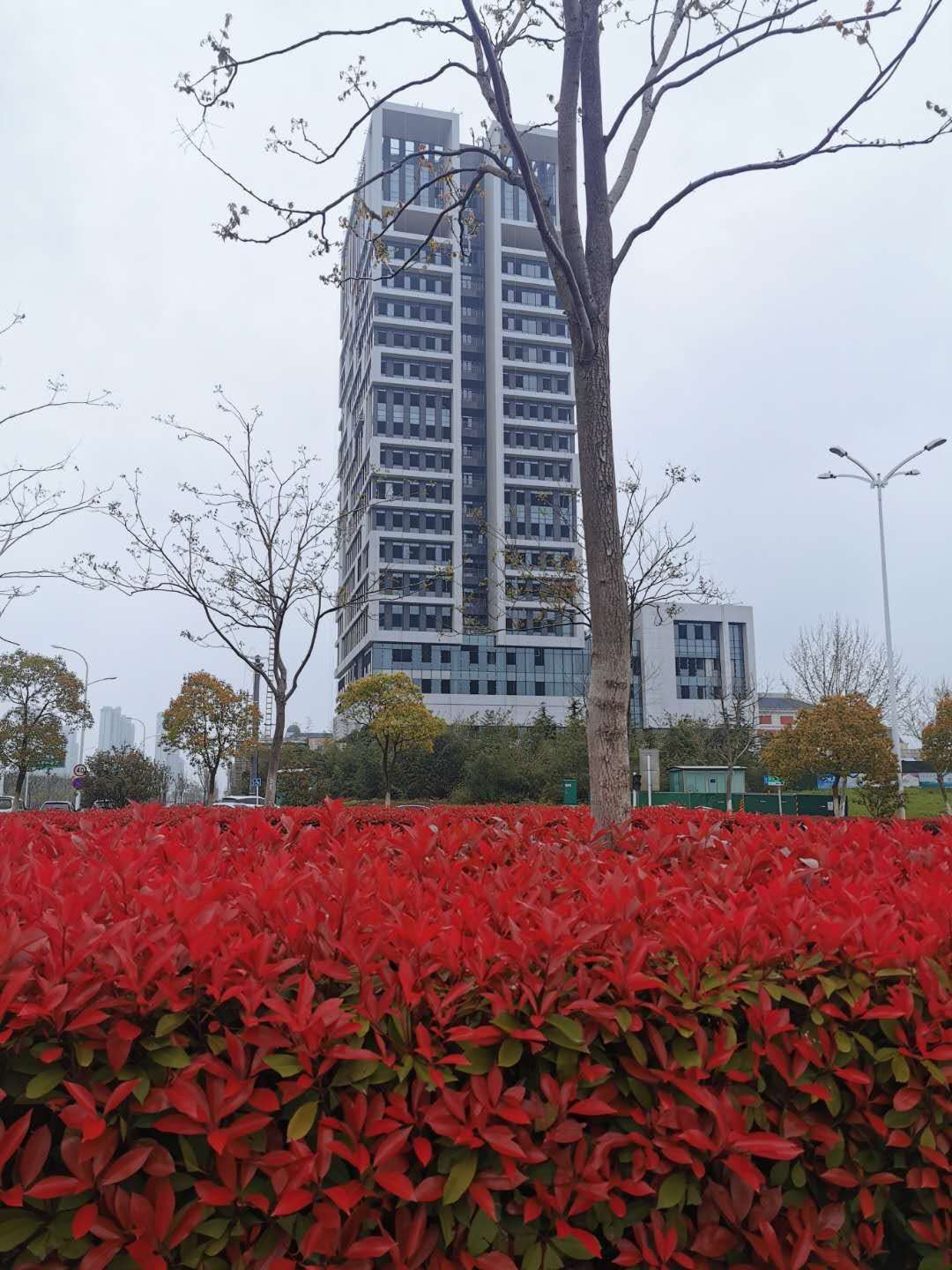 �R�����W�I���Ƶ�O(ji��n)������